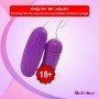 Multi Speed Bullet Vibrator BV-037