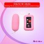 Remote Control Vibrating Egg BV-003