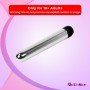 Pleasure Steel Vibrator FV-007